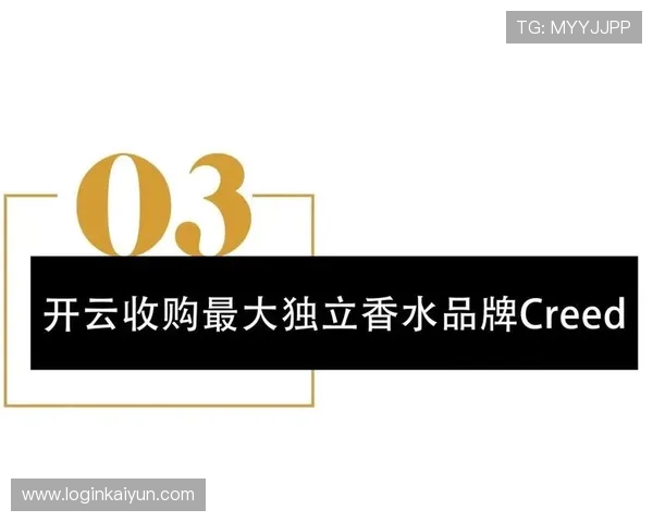 开云电子网址2024最新版本下载和使用指南详解这一系列内容