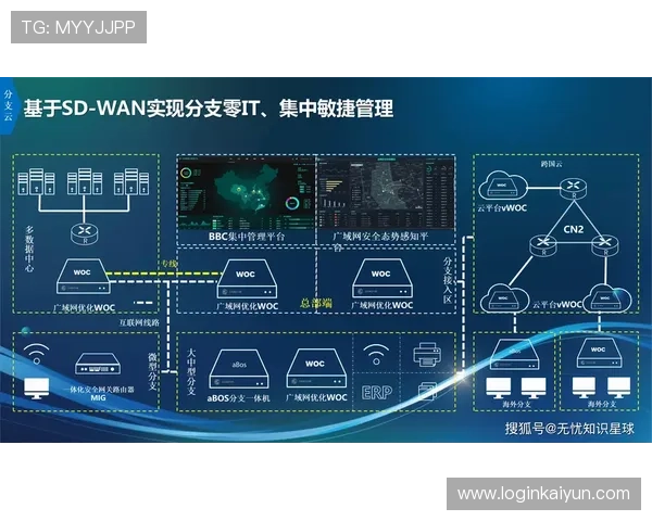 开云网站app的未来发展：践行数字化转型的重要一步